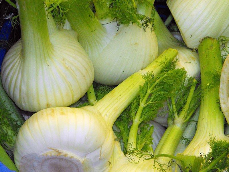 ยี่หร่าเยอะมาก