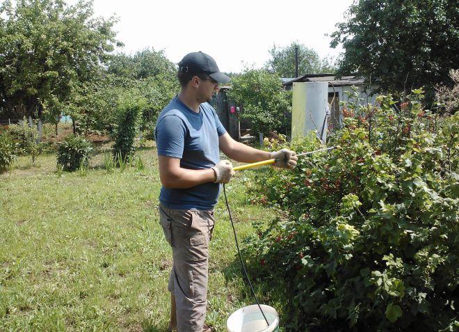 การควบคุมแมลงและศัตรูพืช