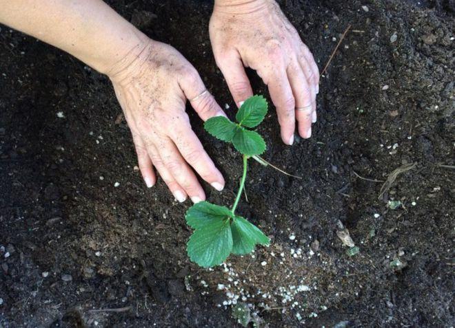 การเลือกไซต์