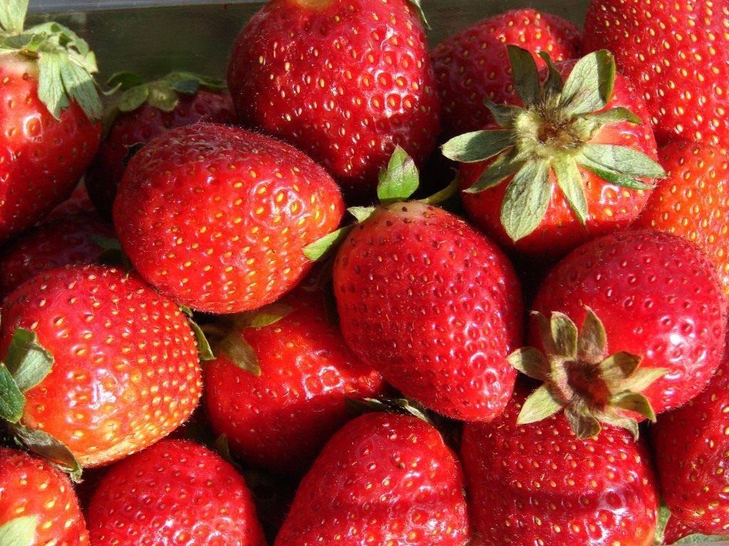 เบอร์รี่มากมาย