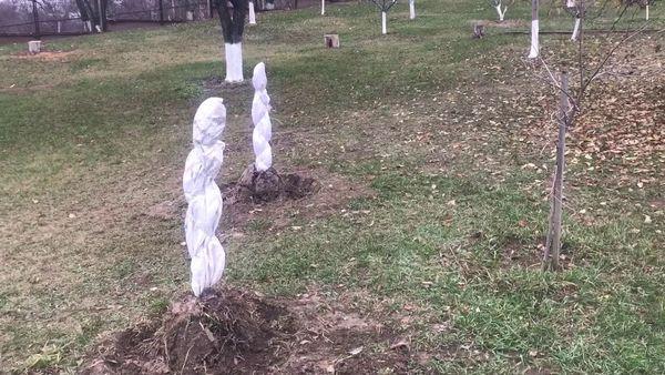 ที่พักพิงสำหรับฤดูหนาว