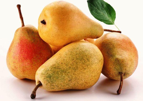 การเก็บเกี่ยวลูกแพร์