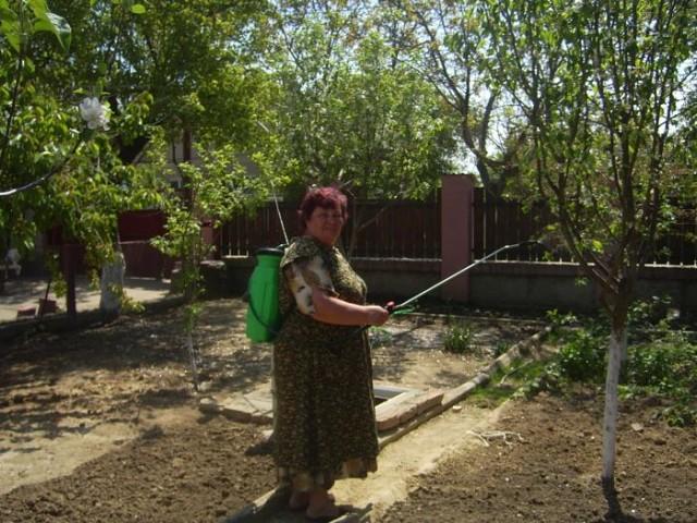 pulvérisation des arbres fruitiers