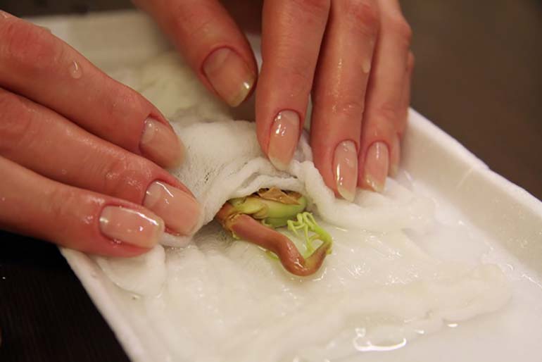 เตรียมพร้อมลงจอด