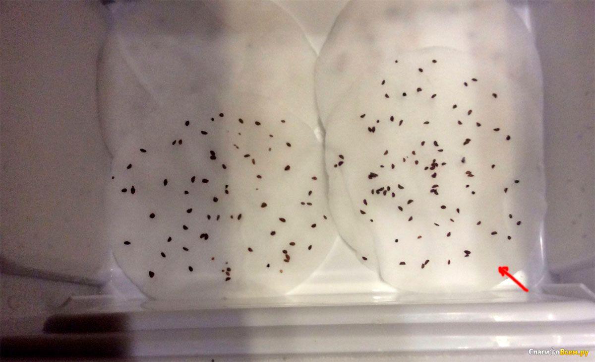 เมล็ดลิงกอนเบอร์รี่