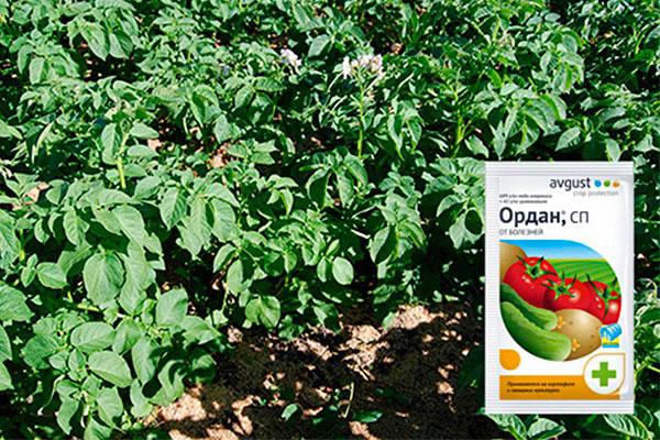 น้ำยาขจัดสนิม