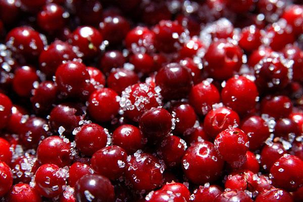 การจัดเก็บบนบก