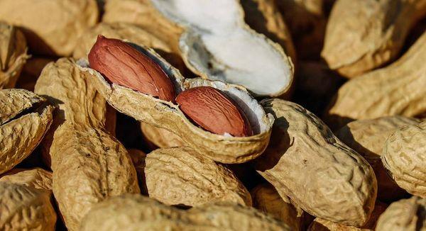 ถั่วลิสง