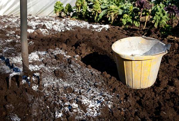 plantation et fertilisation