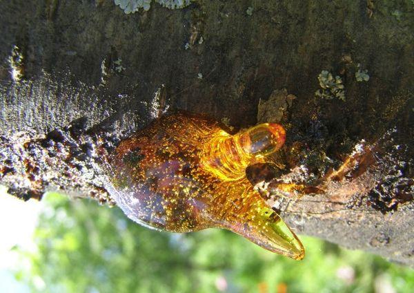 การประยุกต์ใช้เรซิน