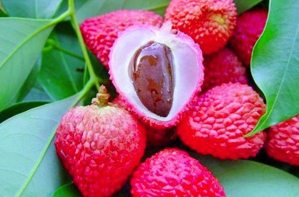 ลูกบอลสีแดง