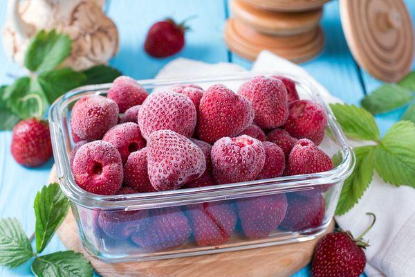 การแช่แข็งทั้งตัว