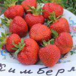 สตรอเบอร์รี่บนจาน