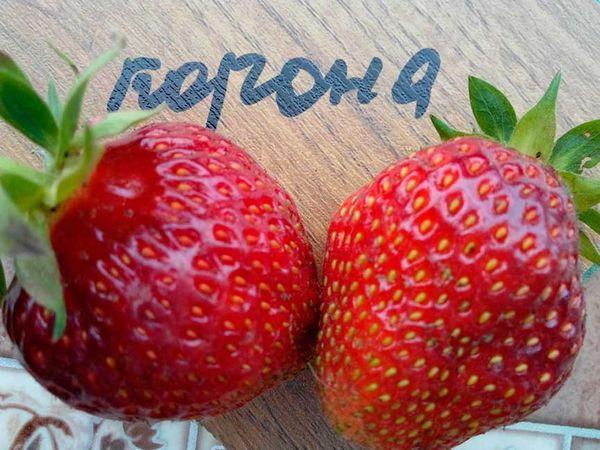 มงกุฎสตรอเบอร์รี่