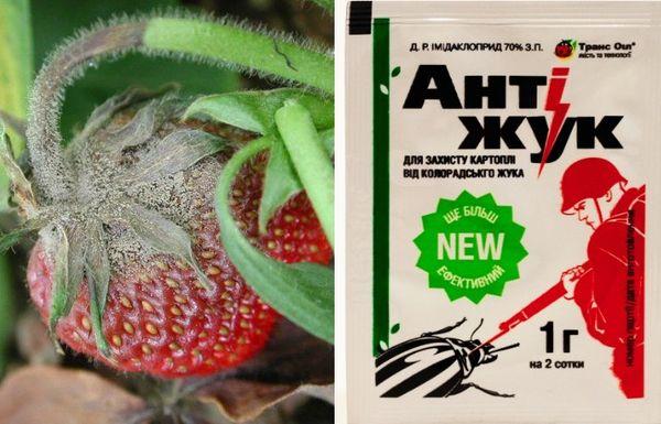 สารป้องกันเชื้อราป้องกันด้วง