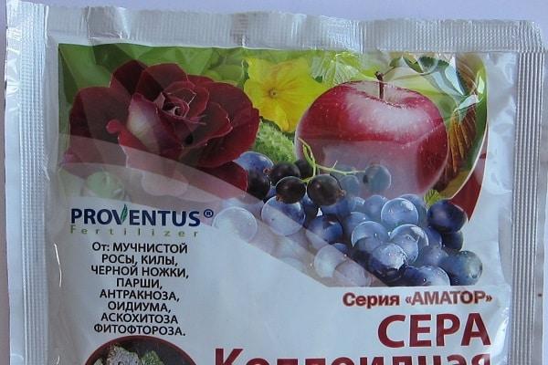 การป้องกันโรค