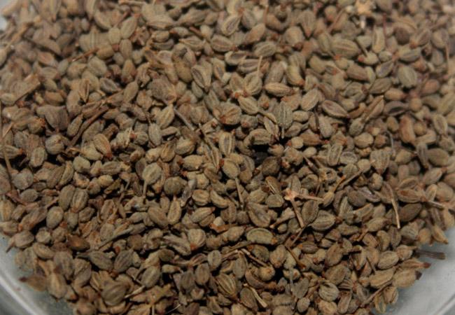 เมล็ดผักชีฝรั่ง