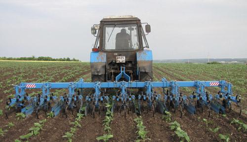 cultivateurs inter-rangs