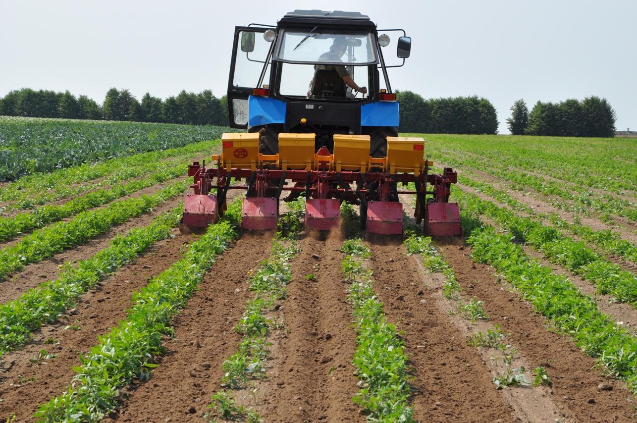 cultivateurs inter-rangs