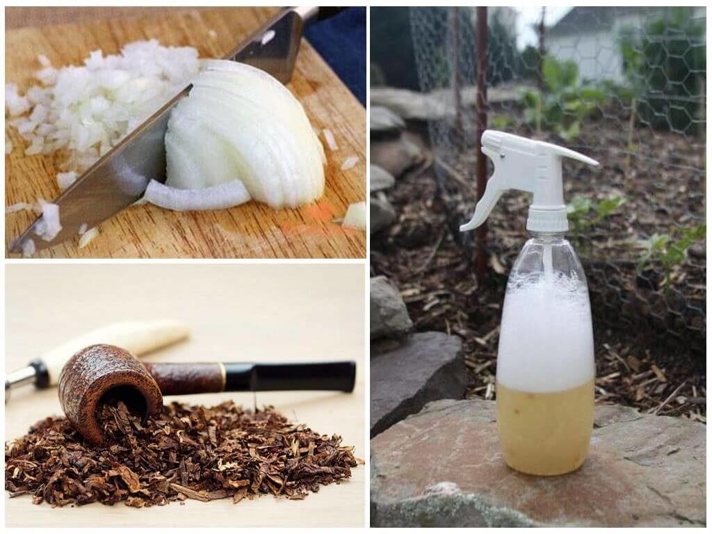 การรักษาด้วยการเยียวยาพื้นบ้าน