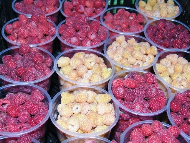 ราสเบอร์รี่ซันไชน์