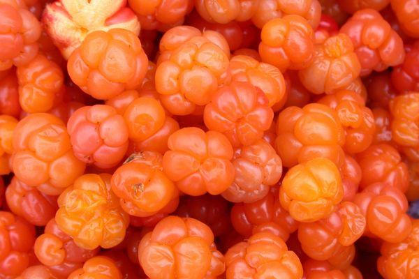 คลาวด์เบอร์รี่สด