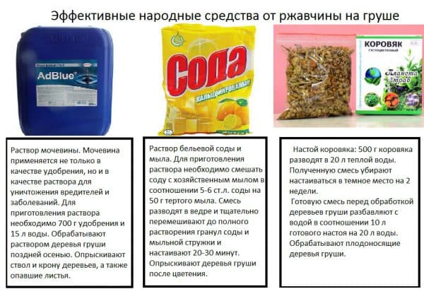 remèdes populaires contre la maladie du poirier