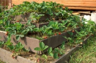 เตียงพีระมิด