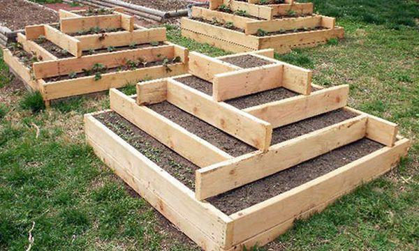 พีระมิดไม้กระดาน