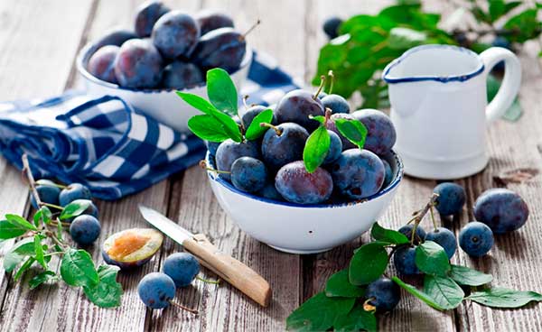 ลูกพลัม: ประโยชน์และโทษ