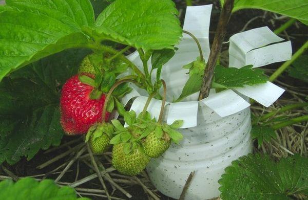 ที่รองแก้วทำเอง