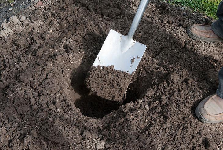 การเตรียมหลุมปลูก