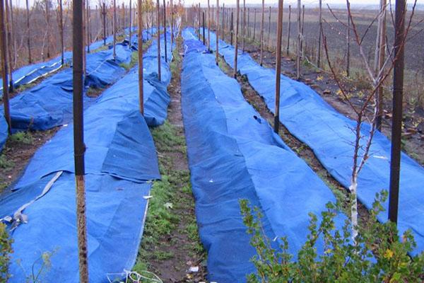 ที่พักพิงสำหรับฤดูหนาว