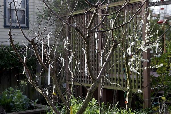 la culture à la datcha