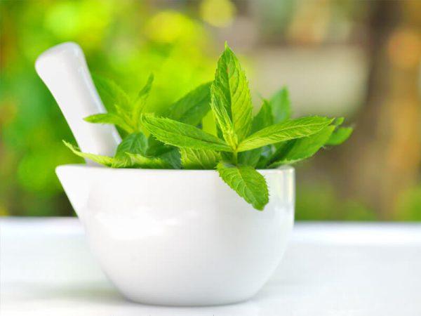 ใบลูกเกด