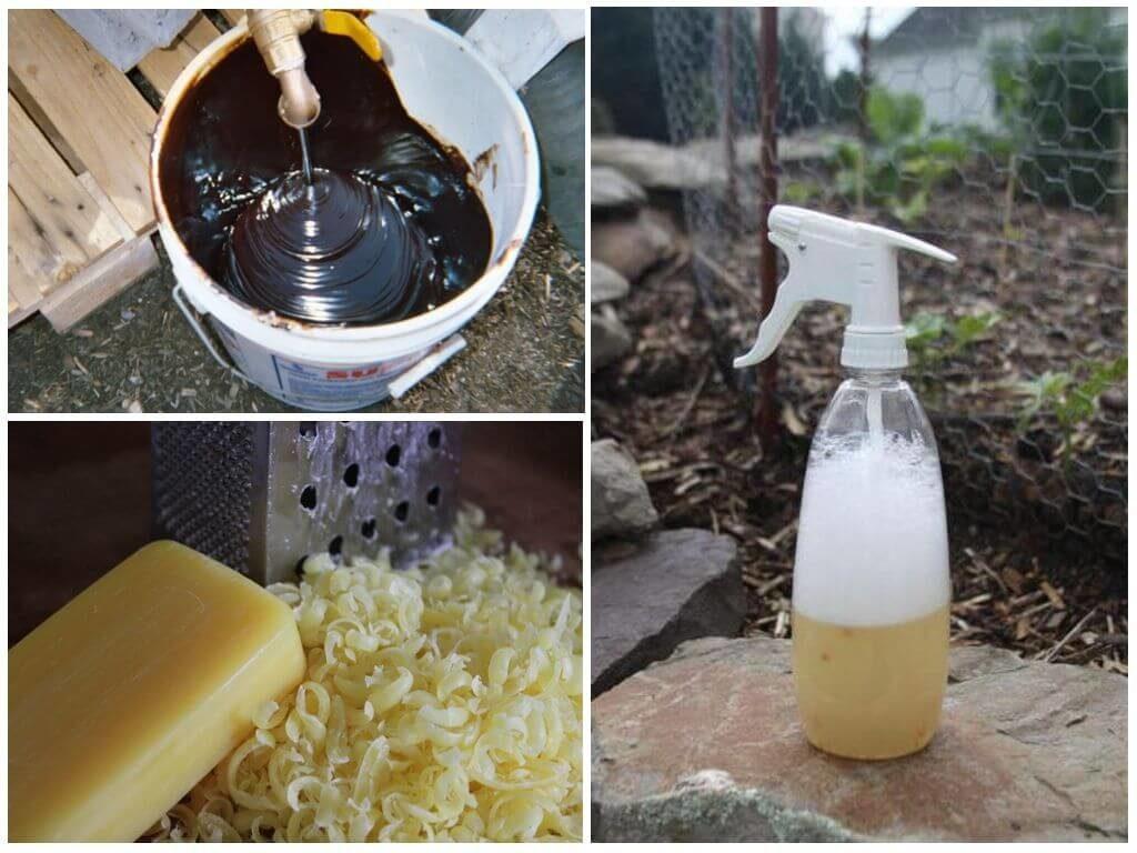 traitement des buissons