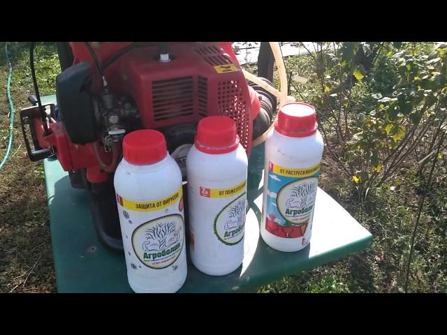 การรักษาโรคและแมลงศัตรูพืช