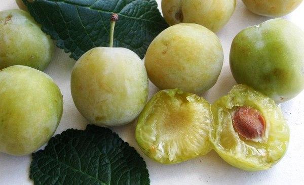 พลัมน้ำผึ้ง