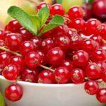 ลูกเกดแดงในชาม