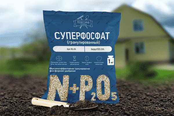 engrais pour groseilles à maquereau