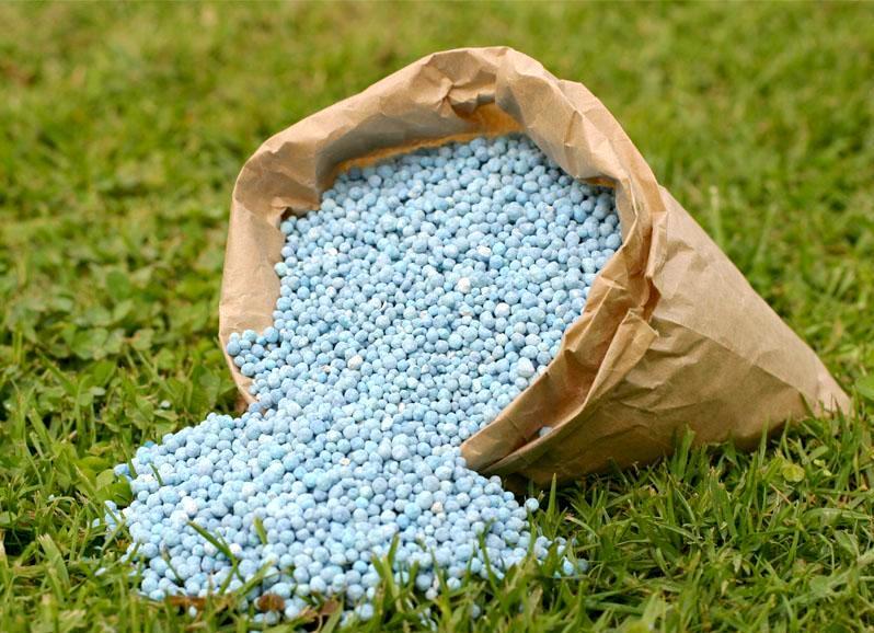 ปุ๋ยสำหรับเชอร์รี่