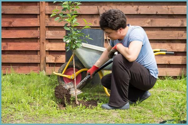 การเลือกสถานที่ลงจอด