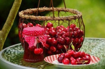 เชอร์รี่สุก