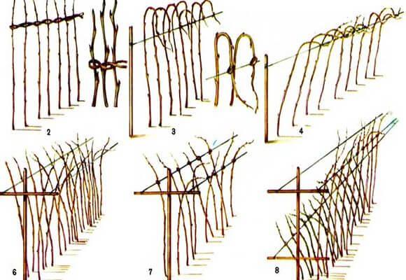 โครงพัดลม