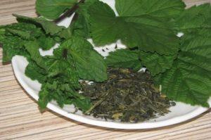 คุณสามารถเก็บใบราสเบอร์รี่เพื่อตากแห้งสำหรับฤดูหนาวได้เมื่อใด และช่วงเวลาการเก็บเกี่ยว