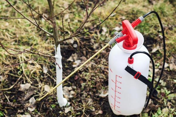 การแปรรูปไม้