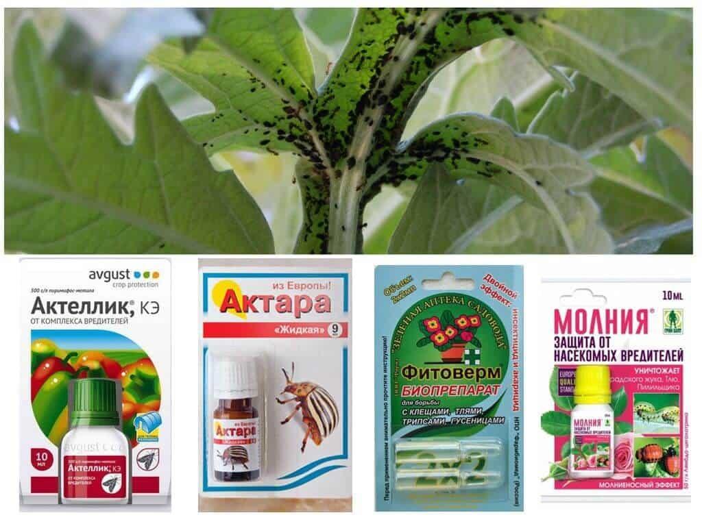 การควบคุมศัตรูพืช