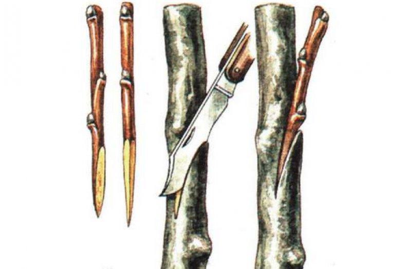 การตัดมุม