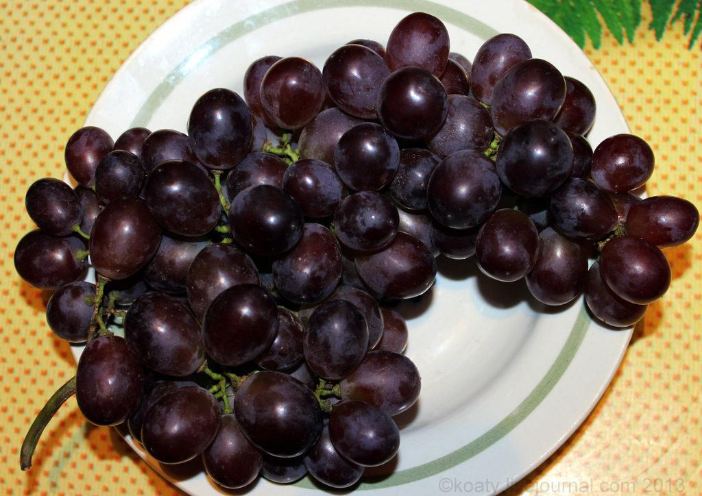 raisins pour la table