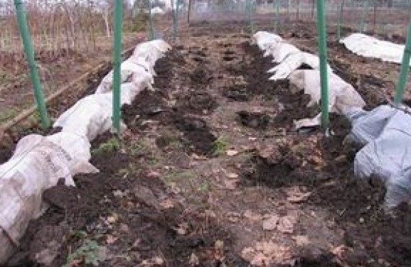 วิธีการหลบภัยในฤดูหนาว